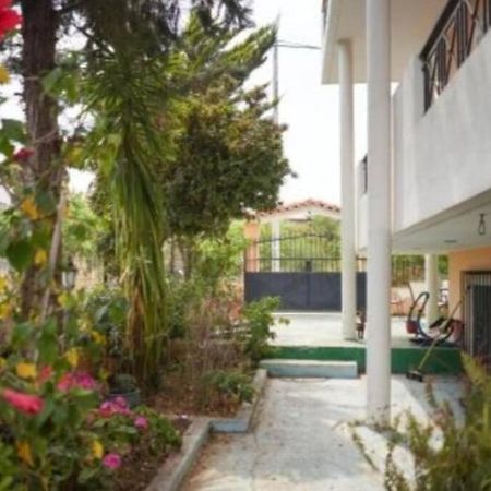 Apartamento George 'S Nest Agios Spyridon  Exterior foto